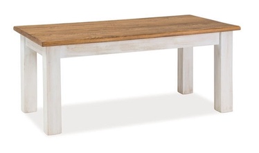 Kafijas galdiņš Signal Meble Poprad, brūna/pelēka, 1200x520x600 mm