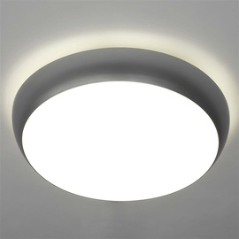 Lampa Lena 311314, plafons, 21 W, E27
