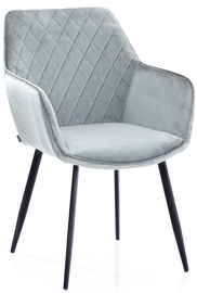 Homede Vialli Chairs 2pcs Silver