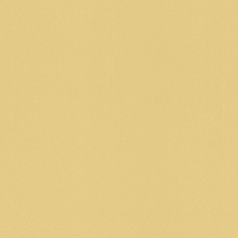 Viniliniai tapetai Rasch Selection 515640