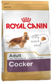 Sausā suņu barība Royal Canin, 12 kg