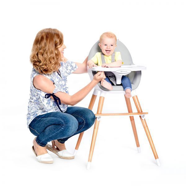 kinderkraft 2 in 1 highchair