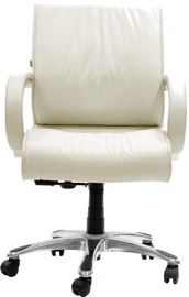 Chairman Executive 444 White