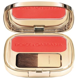 Dolce & Gabbana The Blush Luminous Cheek 5g 15