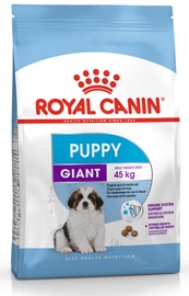 Sausā suņu barība Royal Canin, vistas gaļa, 15 kg