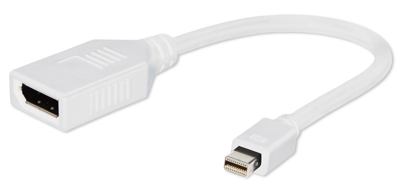 Adapter Gembird Mini DisplayPort - DisplayPort Mini Display port male, Display port female, 0.1 m, valge