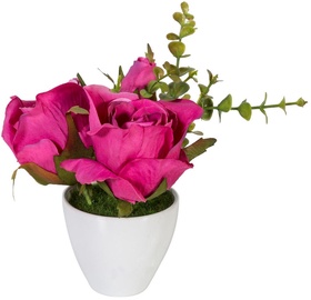 Home4you Roses In Garden With White Pot H15cm Pink