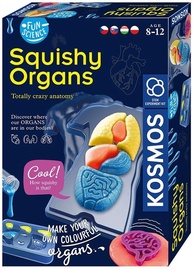 Radošais komplekts Piatnik Squishy Organs, zila