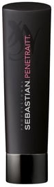 Šampoon Sebastian Professional, 250 ml