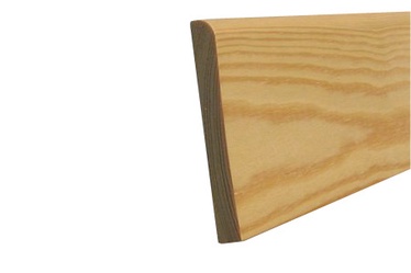 Uksepiirdeliist 10x70mm mänd 2,4m
