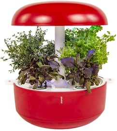 Išmanioji daigykla Plantui Smart Garden 6, raudona