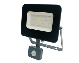 Prožektors Standart E024EI, 30 W, 2550 lm, 4000 °K, IP65, pelēka
