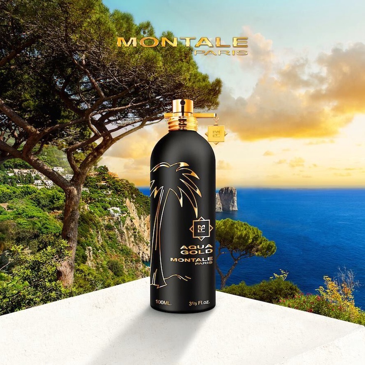 Parfüümvesi Montale Paris Aqua Gold, 100 ml