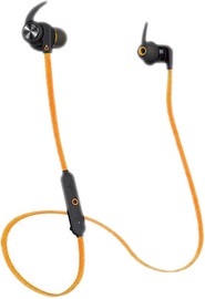 Ausinės Creative Outlier Sport Wireless Headset Orange