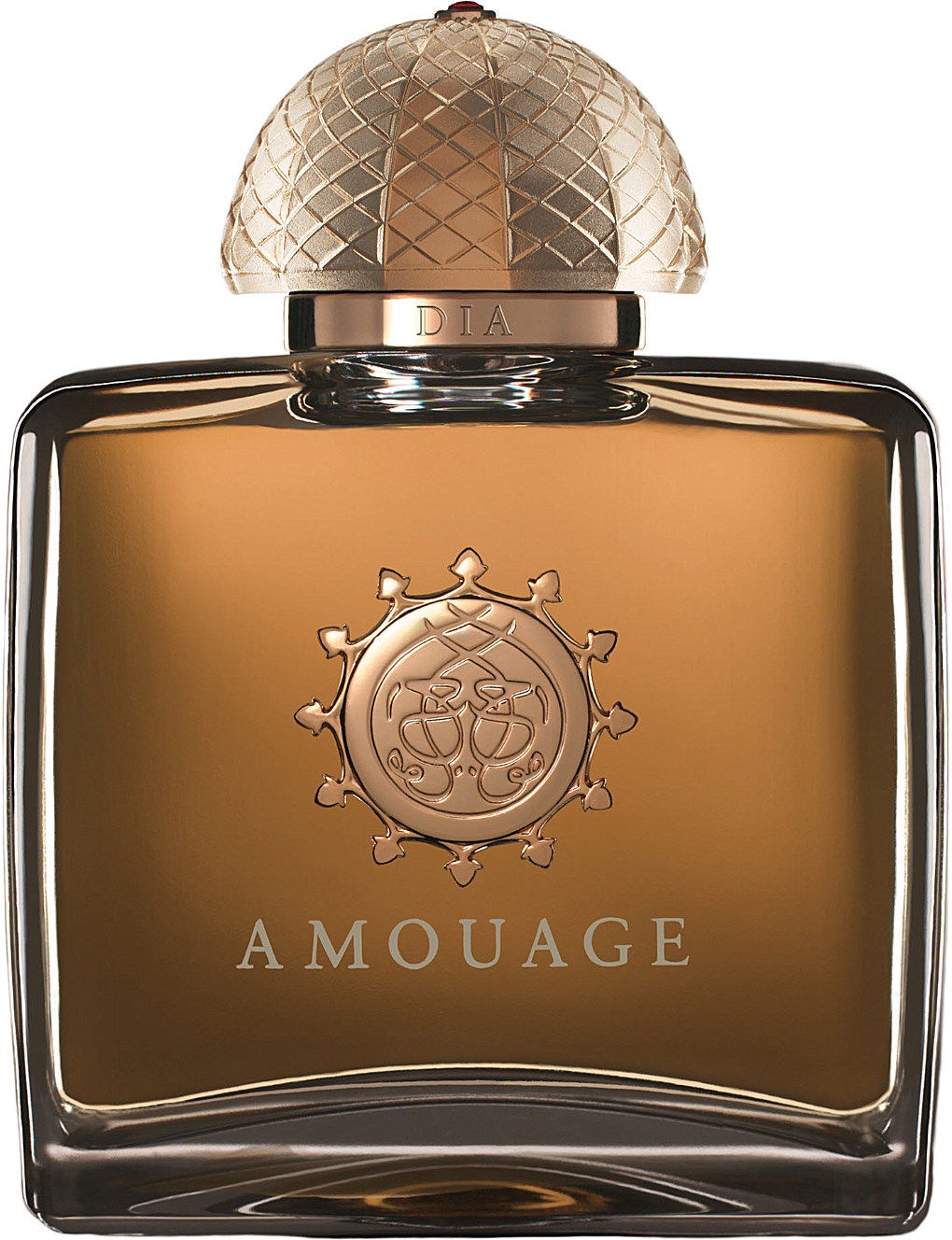 Kvapusis vanduo Amouage 100 ml Senukai.lt