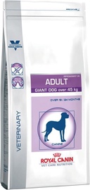 Royal Canin Corn & Poultry Adult 14kg