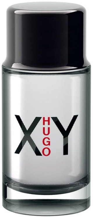 Туалетная вода Hugo Boss Hugo XY, 100 мл