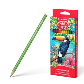 ErichKrause Art Berry Triangular Color Pencils 24pcs