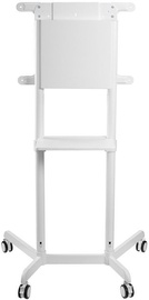 TV hoidik NewStar, 37-70", 70 kg