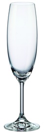 Šampanieša glāžu komplekts Bohemia Royal Crystal Martina 40415, kristāls, 0.22 l, 6 gab.