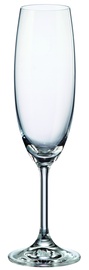 Šampuseklaaside komplekt Bohemia Royal Crystal Martina 40415, kristall, 0.22 l, 6 tk