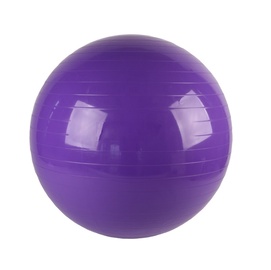Bumba VirosPro Sports Fitness Ball 75cm Purple