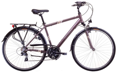 Dviratis Romet Wagant 23" 28" Brown 17