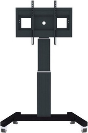 Televizoriaus laikiklis NewStar PLASMA-M2500 Flat Screen Floor Stand Black 42-100''