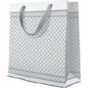 Paw Decor Collection Modern Premium Gift Bag 20x10x25cm