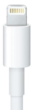 Adapteris Apple Lightning - USB