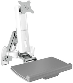 Televizoriaus laikiklis RaidSonic IB-MS600-W Wall Mount 24''