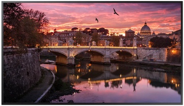 Monitorius Samsung QB49R, 49", 8 ms