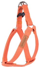 Koerte traksid Amiplay Cotton, oranž, 300 - 550 mm x 20 mm, 30-55