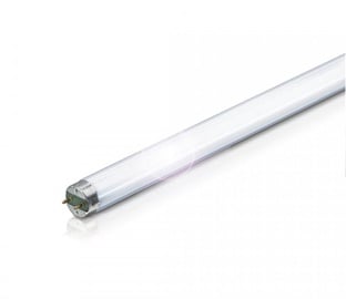 Лампочка Nordeon Люминесцентная, белый, G13, 58 Вт, 5220 лм