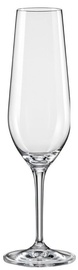 Bohemia Champagne Glass Amoroso 200ml 2pcs
