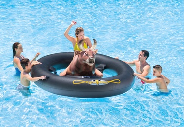 Pripučiamas baseino žaidimas Intex Inflatabull