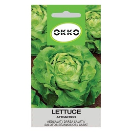 DĀRZA SALĀTI ATTRAKTION (OKKO)