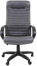 Chairman Executive 480LT Eco Terra117