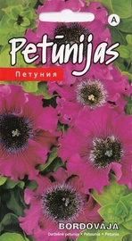 Sēklas petūnijas BORDOVAJA
