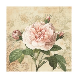 Popierinės servetėlės SLOG044801, 33 x 33 cm, 20 vnt.