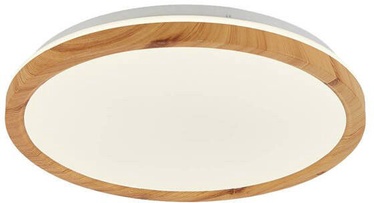 Lampa Candellux Kato, 16 W, LED