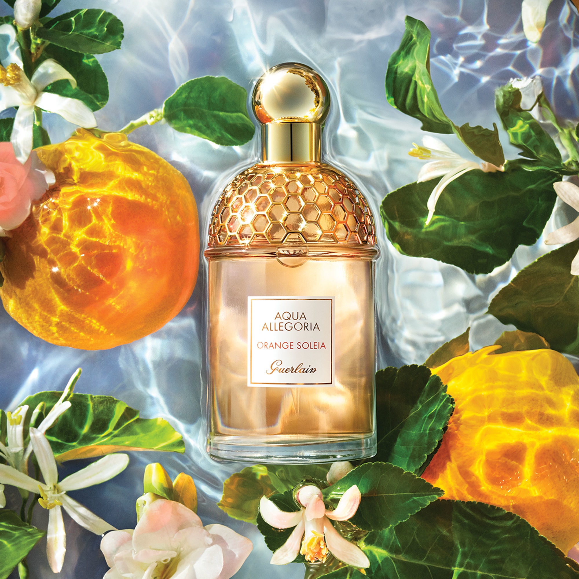 guerlain aqua allegoria orange soleia eau de toilette