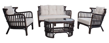 Dzīvojamās istabas mēbeļu komplekts Home4you Hampton 42062, brūna