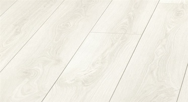 Lamineeritud parkett D3305 tamm AC4 32 8mm