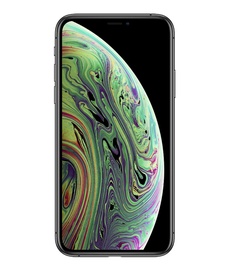 Mobilusis telefonas Apple iPhone XS, 256 GB