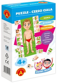 Игра Alexander Fun And Learning Part Of Body 1831, Польский