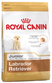 Royal Canin BHN Labrador Retvrievier Junior 12kg