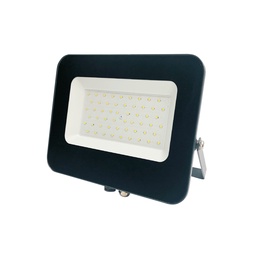 Prožektors Standart E024EI, 50 W, 4250 lm, 4000 °K, IP65, pelēka
