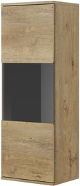 Halmar Nest W-2 Display Cabinet Oak/Black
