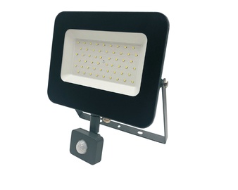 Prožektors Standart E024EI, 50 W, 4250 lm, 4000 °K, IP65, pelēka